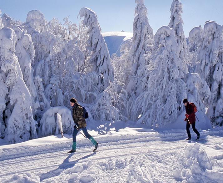 Chalet Confort Aloya Ranspach Dış mekan fotoğraf