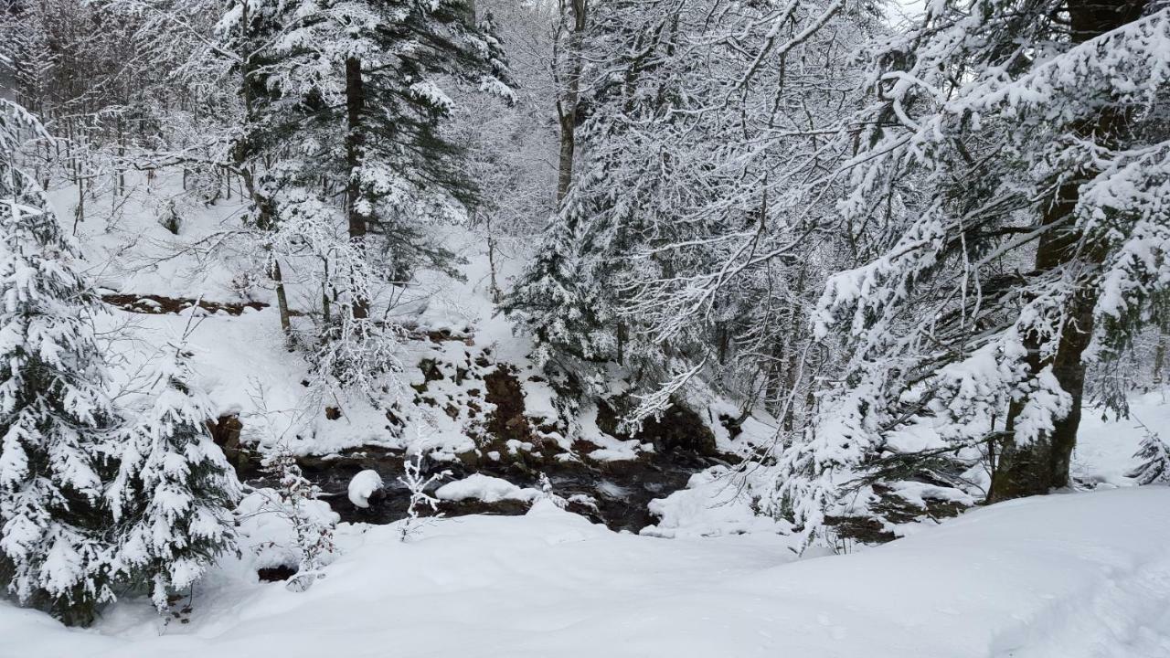 Chalet Confort Aloya Ranspach Dış mekan fotoğraf