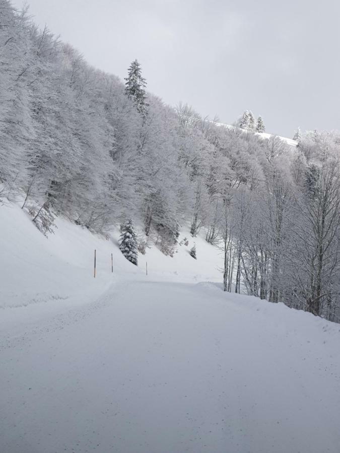 Chalet Confort Aloya Ranspach Dış mekan fotoğraf